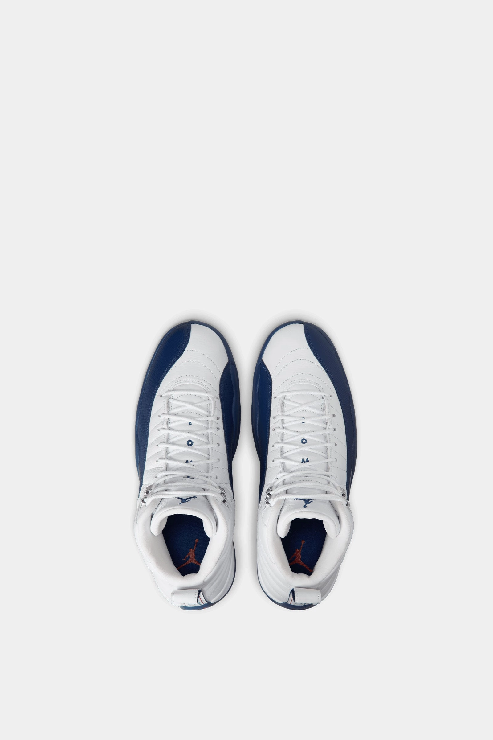 Pet Jog Air Jordan 12 Retro