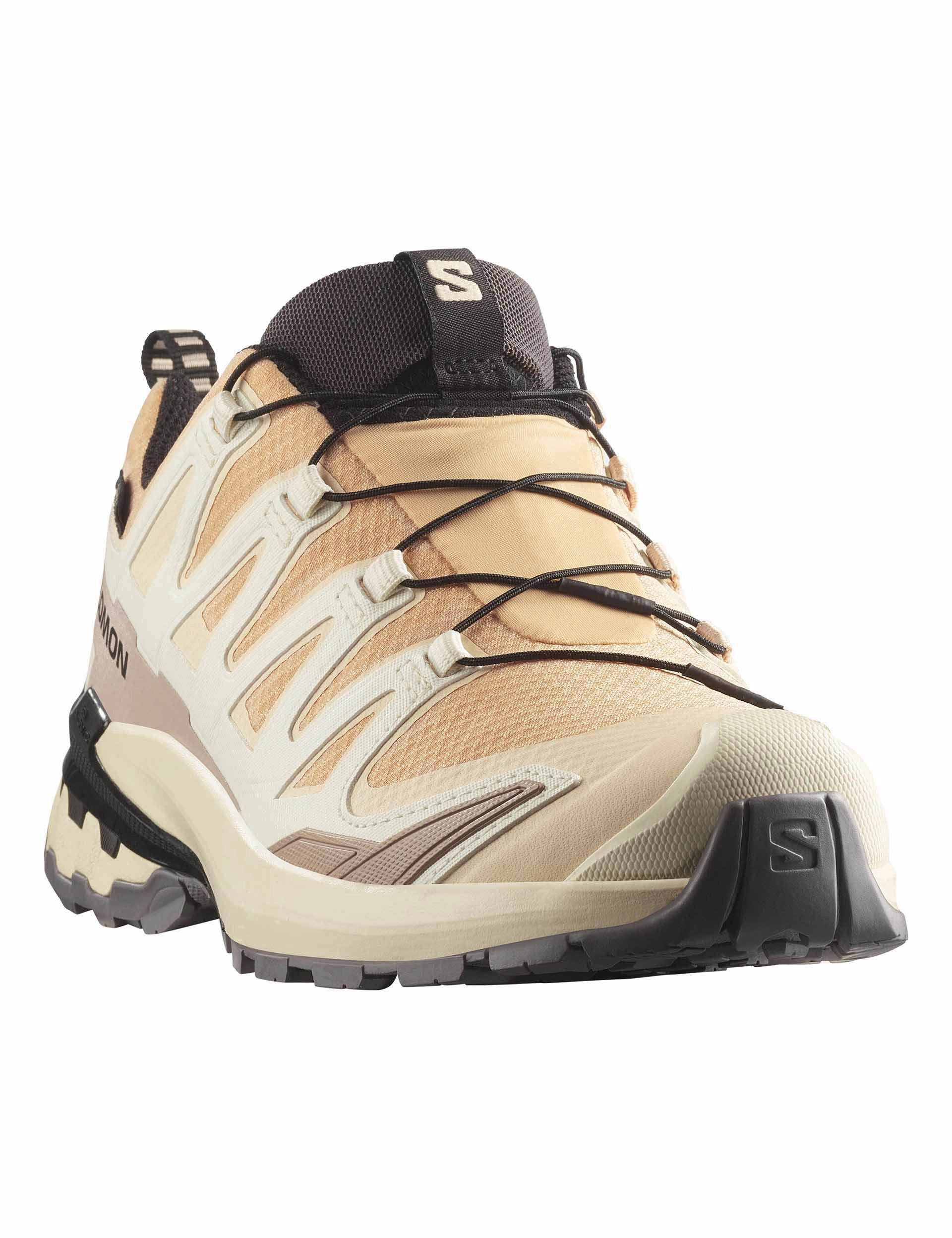 cold weather running shoe situation consistent - quality XA Pro 3D V9 Gore-Tex - Hazelnut/Tender Peach/Black