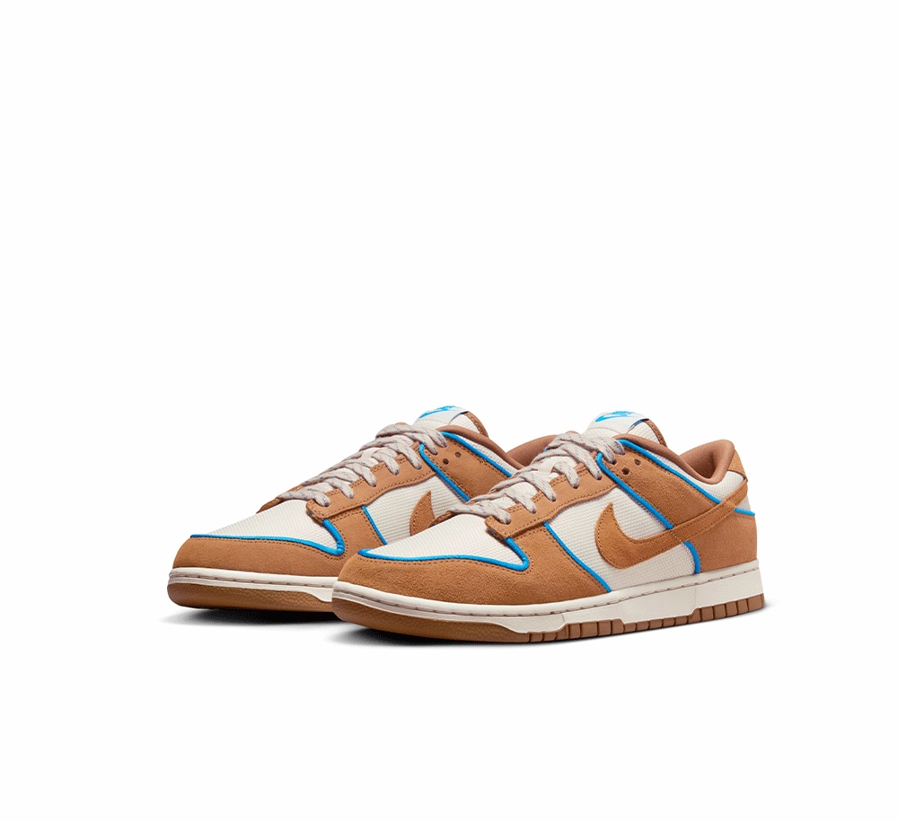 Flex Technology Nike Dunk Low Retro Premium