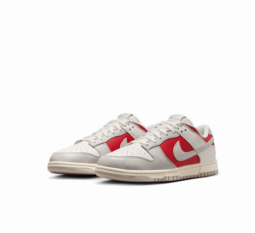 Nike Dunk Low Retro Go Casual