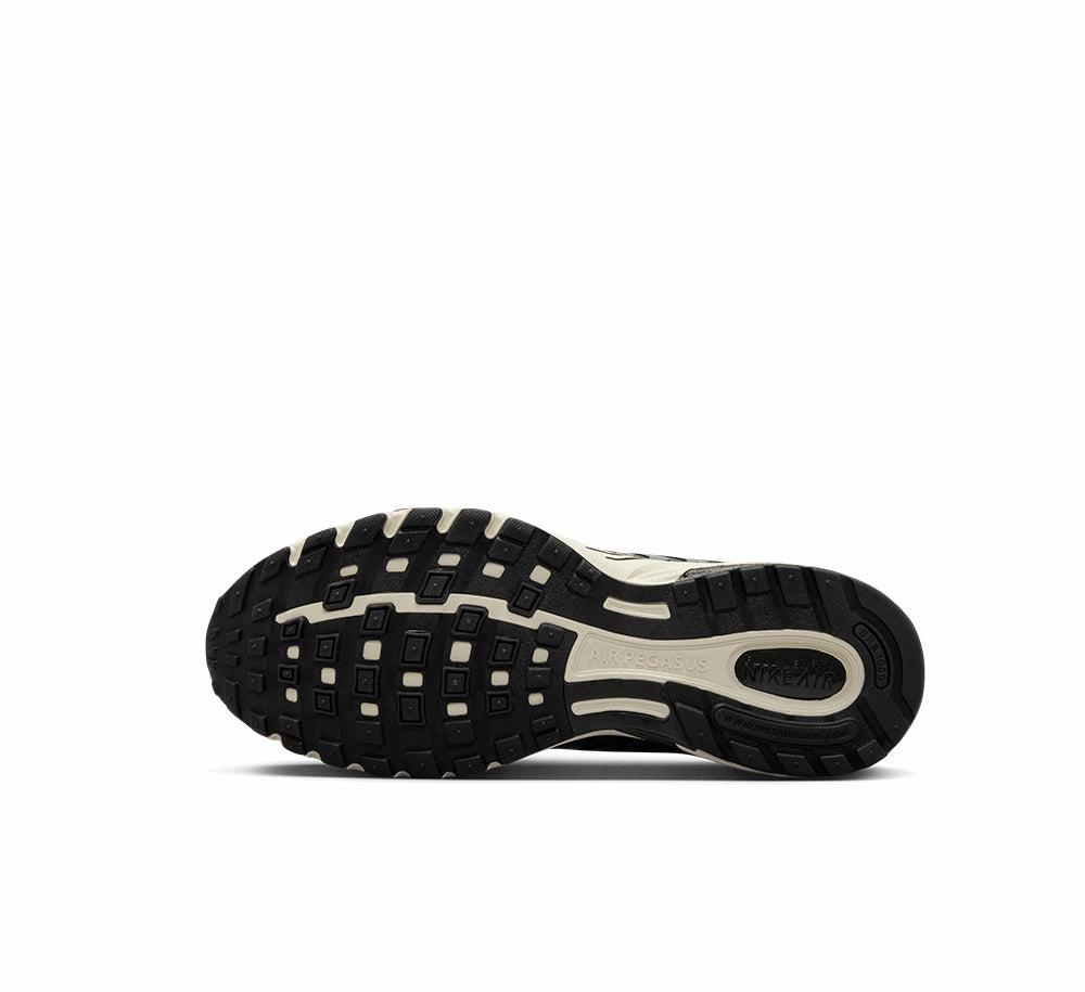 Fast Outing Quiet Step Nike Air Pegasus 2005