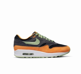 Daily Travel NIKE AIR MAX 1 PRM
