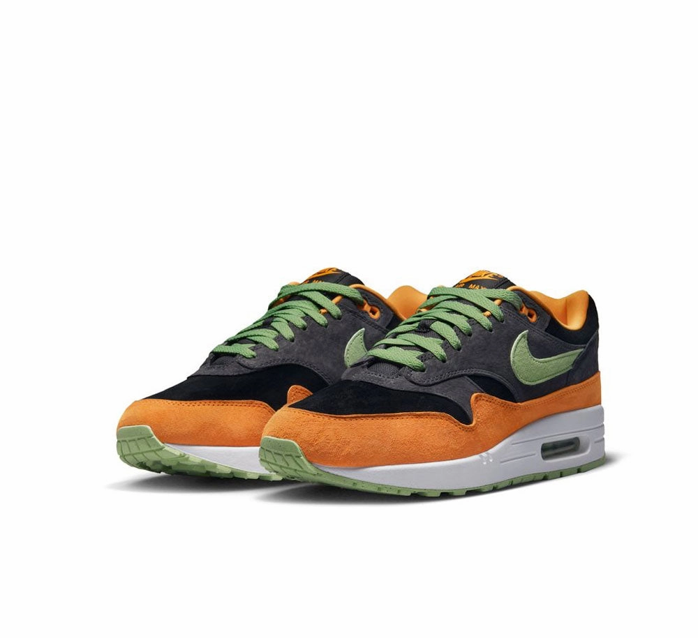 NIKE AIR MAX 1 PRM Clean Silhouette