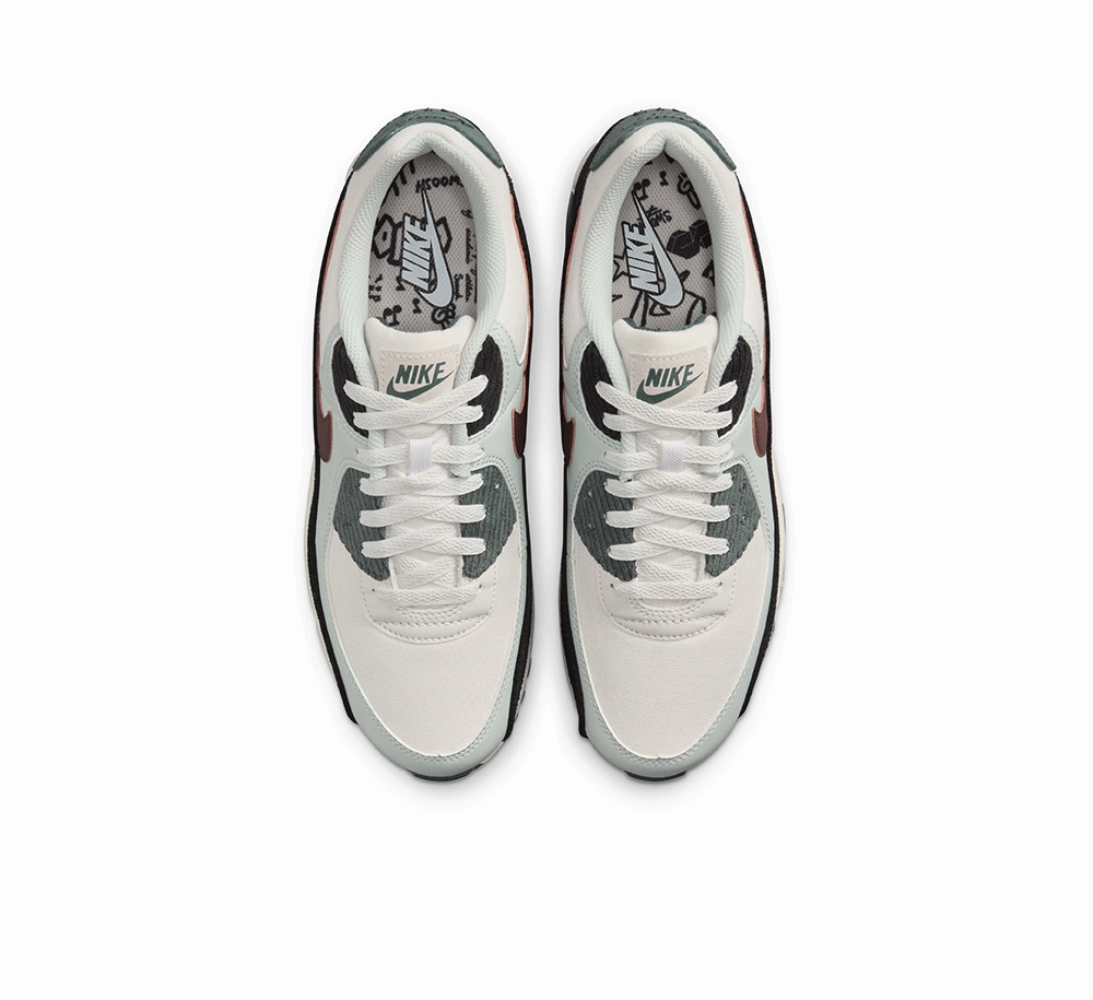 Foot Journey Nike Air Max 90 Premium