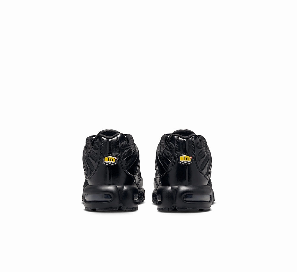 Classic Touch Nike Air Max Plus