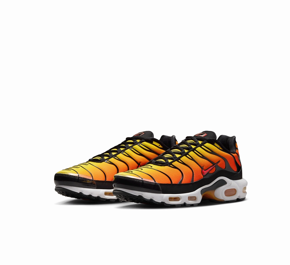 Subway Go Nike Air Max Plus