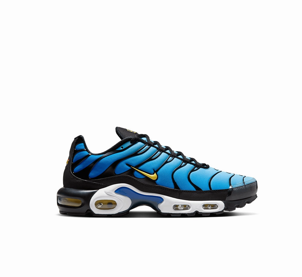 Air Touch Nike Air Max Plus OG