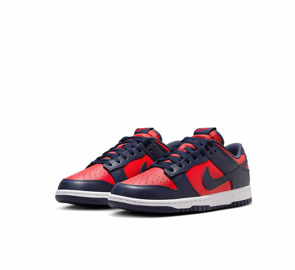 Nike Dunk Low Retro Smart Choice