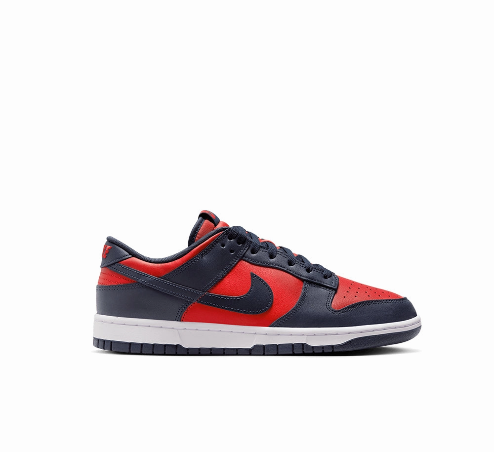 Nike Dunk Low Retro Trail Walk Activity Use
