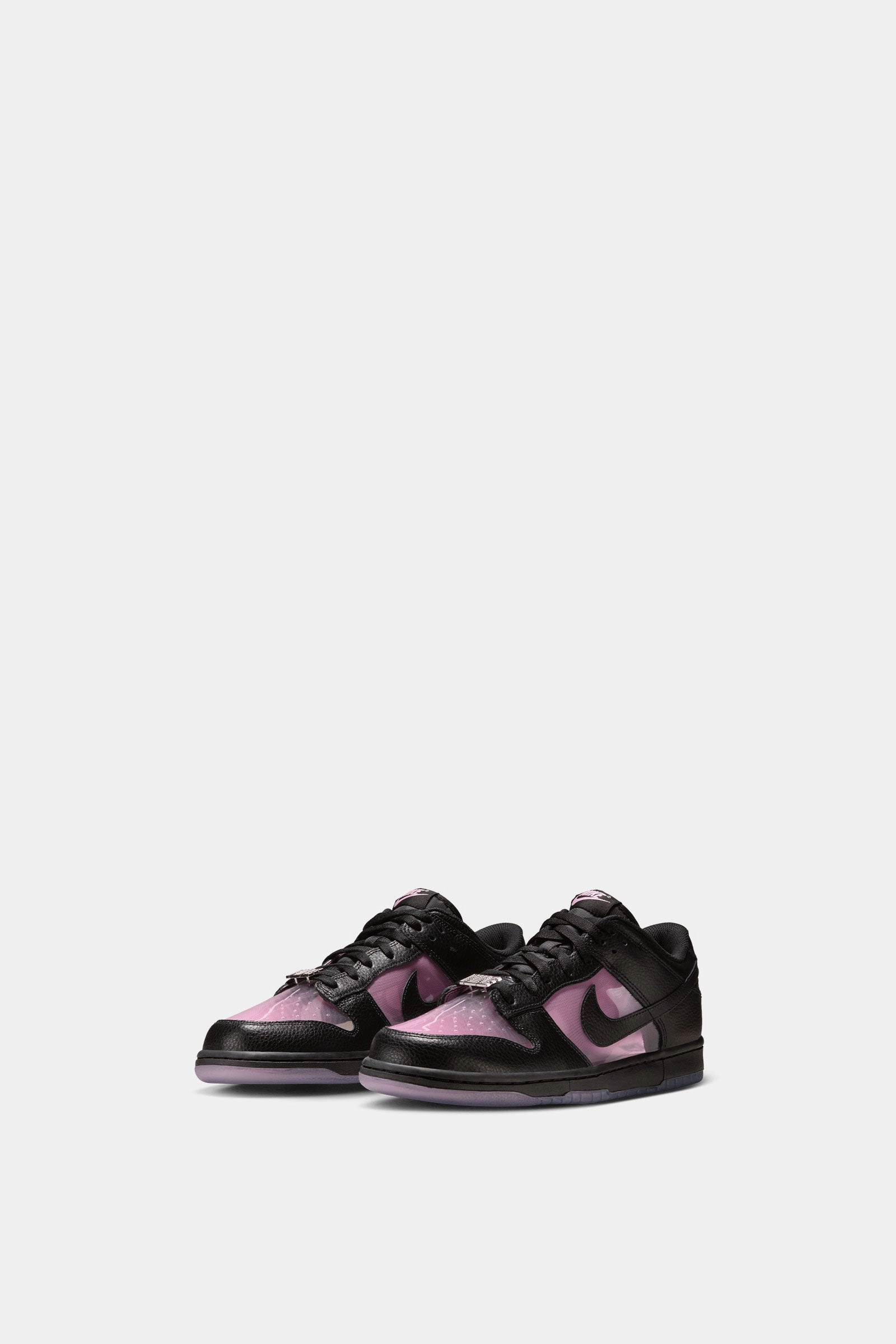 Guard Hike Comfort   padding Nike Dunk Low Retro Premium