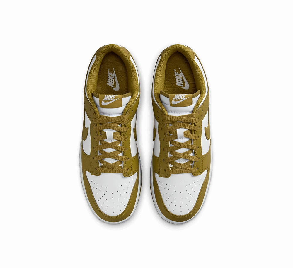 Nike Dunk Low Retro Any Day