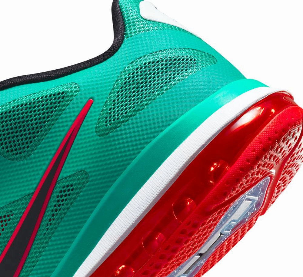 Neutral Color Blending Versatile Comfort Shoes NIKE LEBRON IX LOW