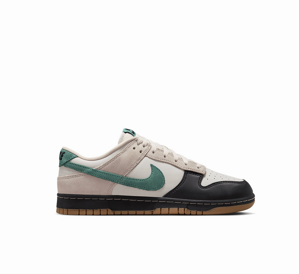 Long Stroll Nike Dunk Low Retro