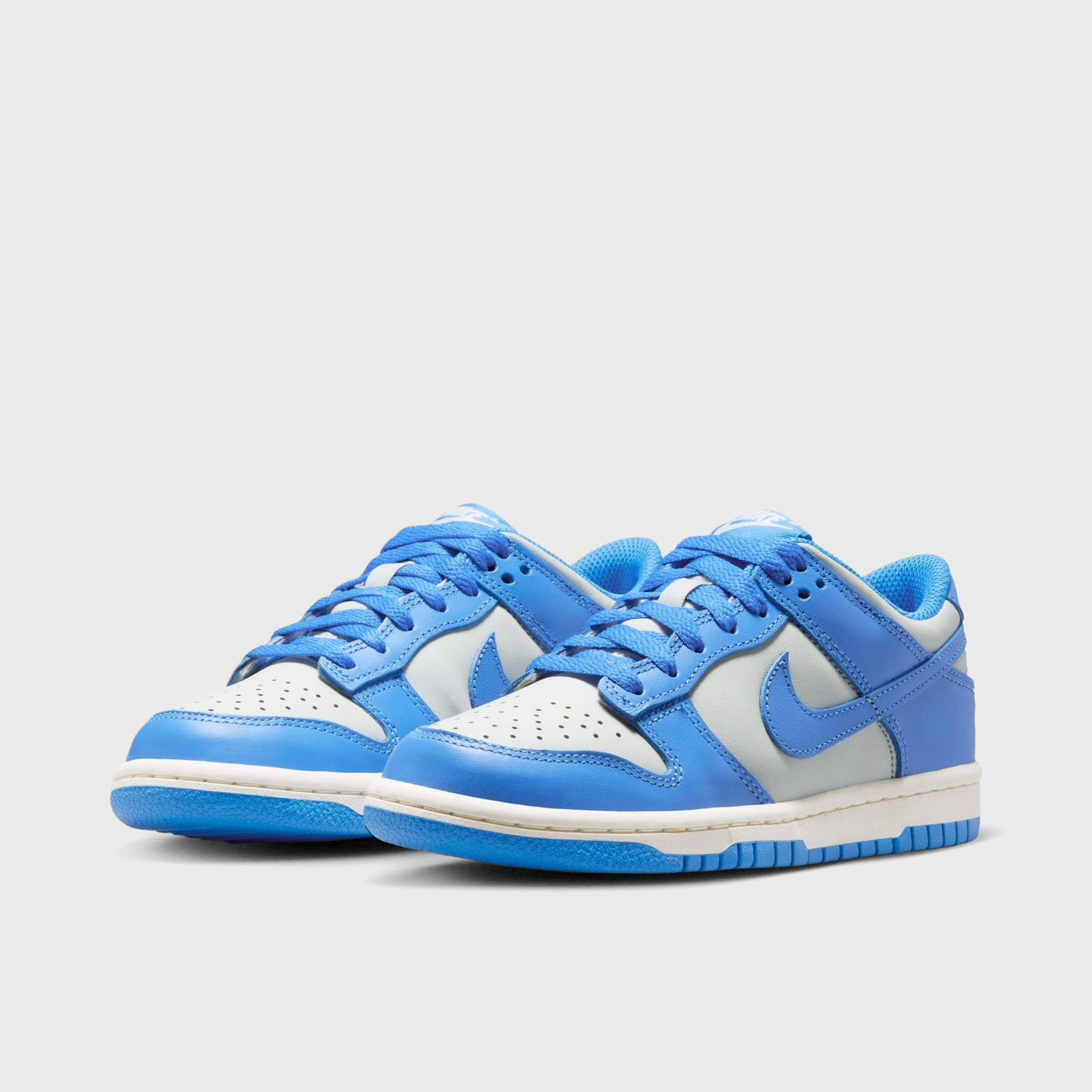 Nike Dunk Low GS Light Silver / Light Photo Blue - Sail Strap Design