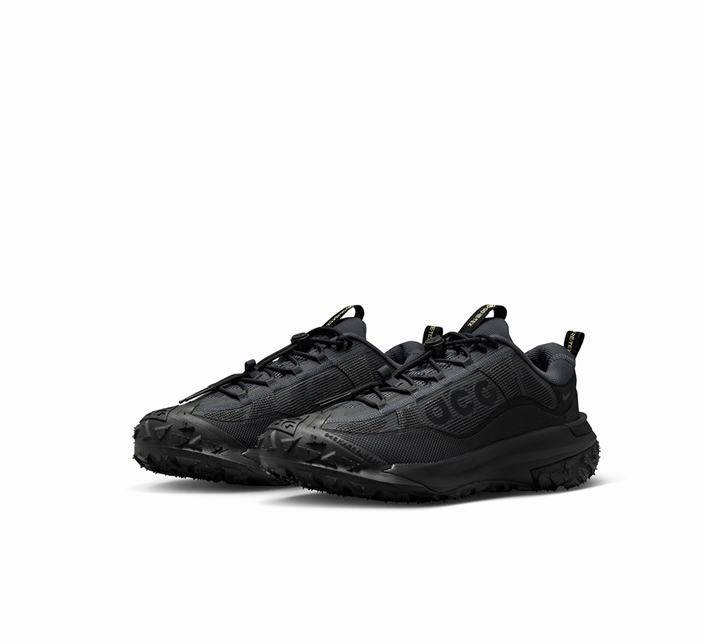 Urban Move Pro Nike ACG Mountain Fly 2 Low GORE-TEX