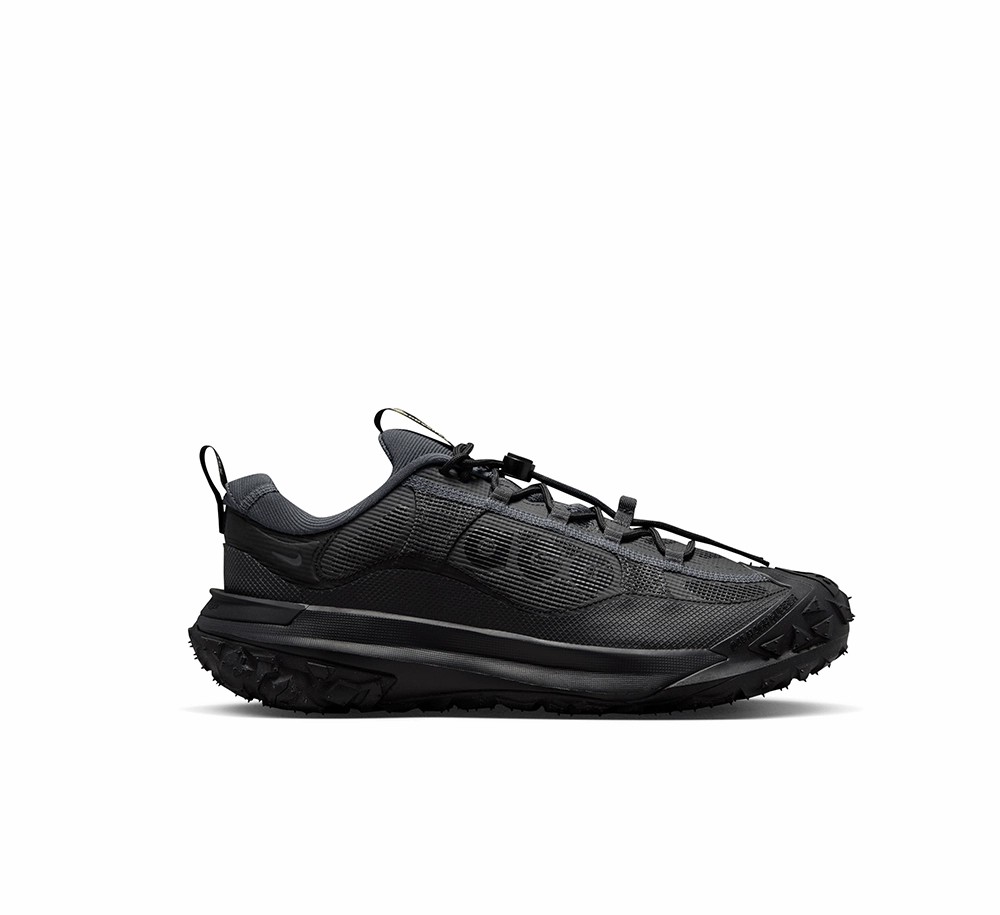Nike ACG Mountain Fly 2 Low GORE-TEX Comfort   insole