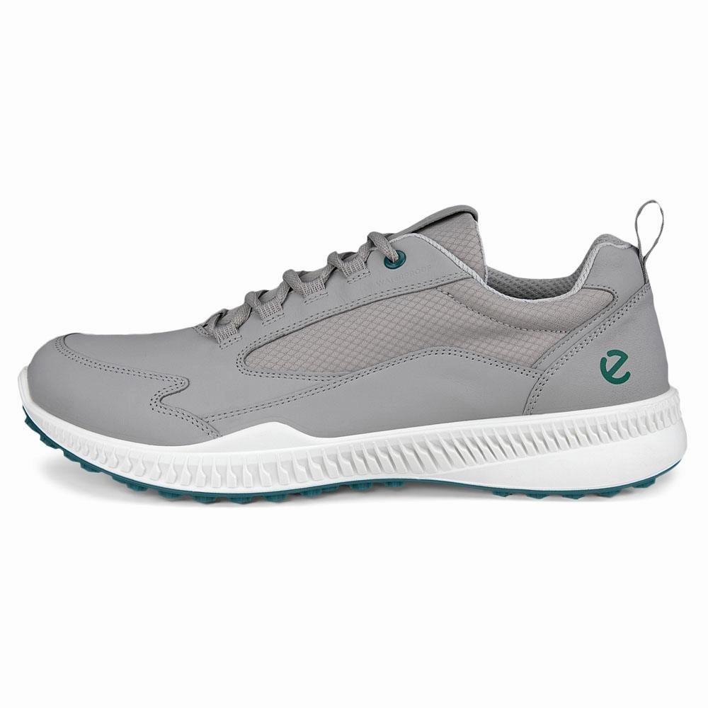 Long distance ECCO S-Hybrid BNY Spikeless Golf Shoes Wild Dove - 24 Men